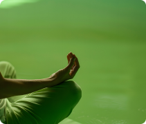 Nutri&ccedil;&atilde;o At&eacute; Voc&ecirc; -Nestl&eacute; Nutri&ccedil;&atilde;o at&eacute; Voc&ecirc; 